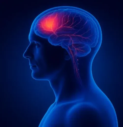 Xray-pic-Replacement